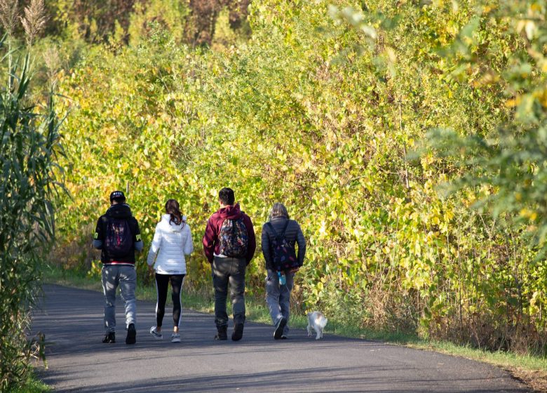 OENORANDO® ENTRE CANAL DU MIDI ET VIGNOBLE