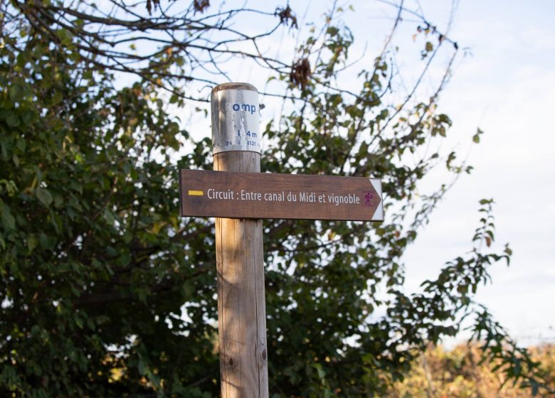 OENORANDO® ENTRE CANAL DU MIDI ET VIGNOBLE