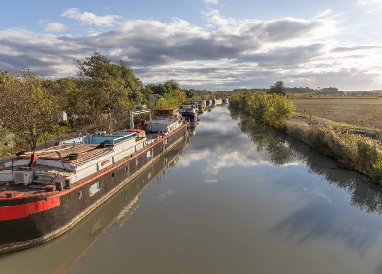 OENORANDO® ENTRE CANAL DU MIDI ET VIGNOBLE