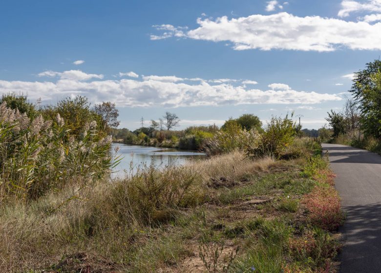 OENORANDO® ENTRE CANAL DU MIDI ET VIGNOBLE