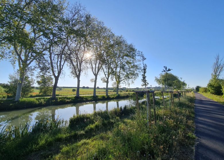 OENORANDO & GOURMANDISES – VILLENEUVE-LÈS-BÉZIERS